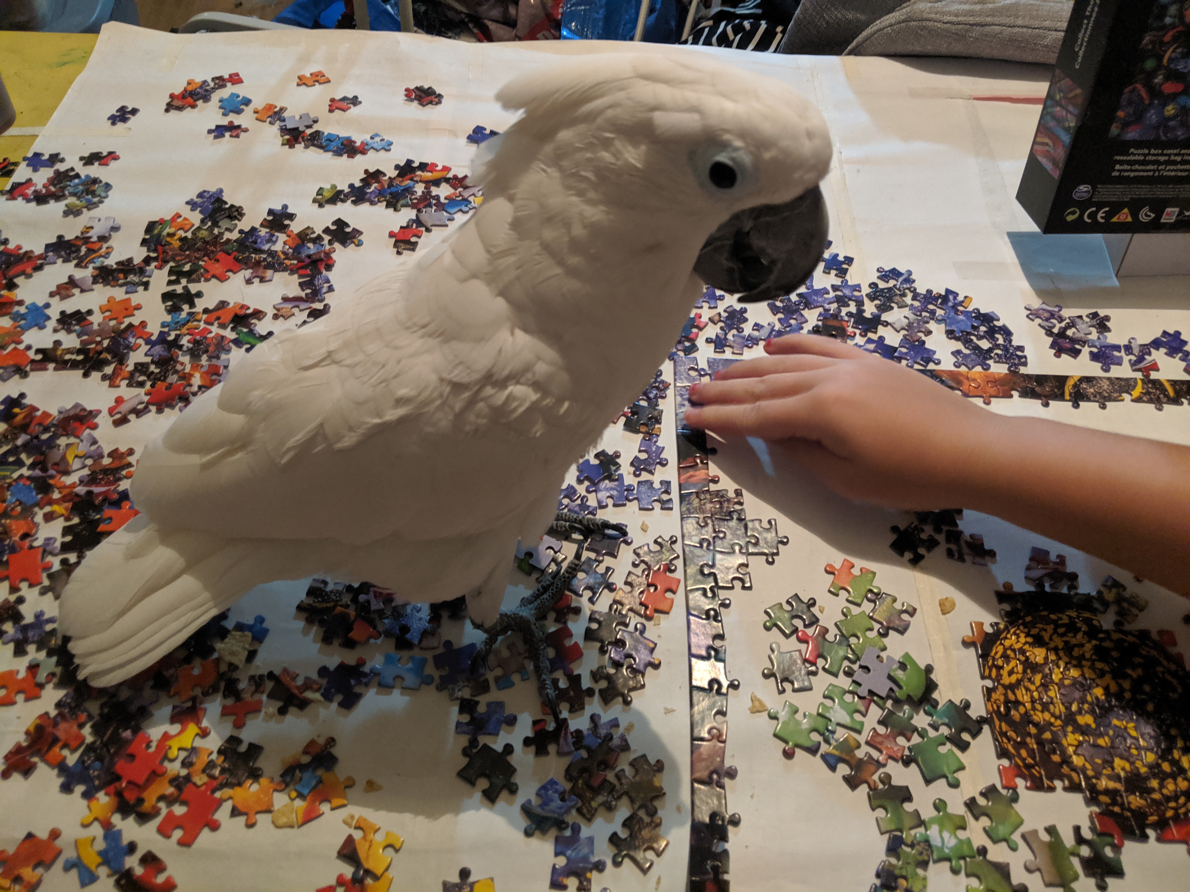 Jigsaw puzzle destruction