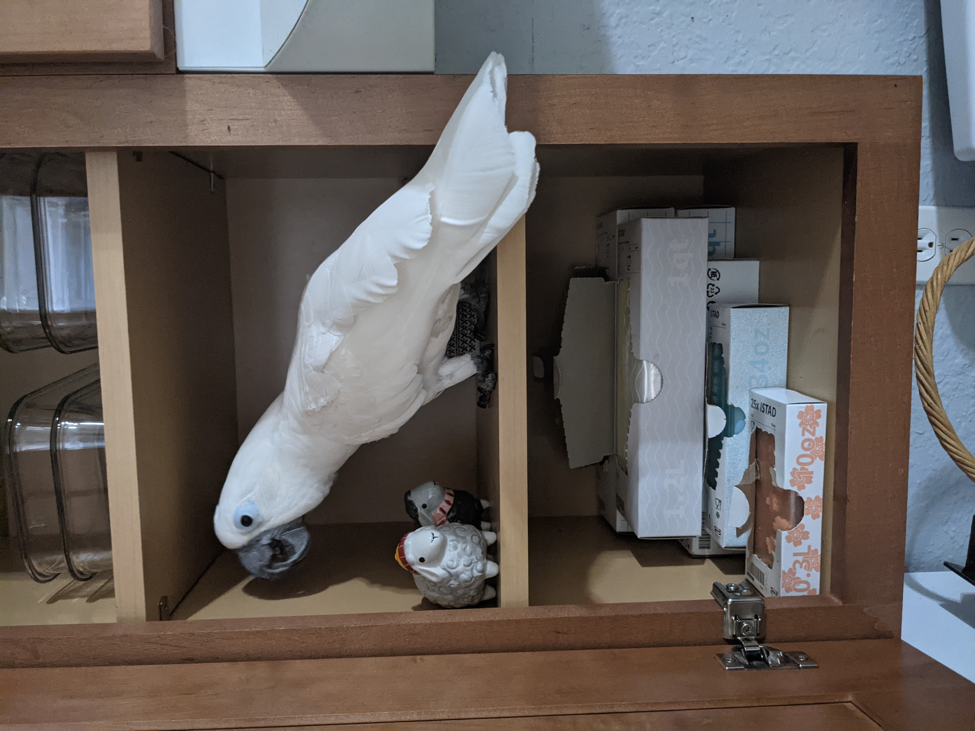 Cabinet infiltration